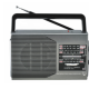 Radio portabil FP-1371