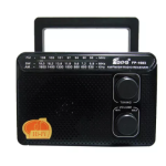 Radio portabil ROTOSONIC FP-1603 cu 3 benzi