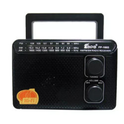 Radio portabil ROTOSONIC FP-1603 cu 3 benzi