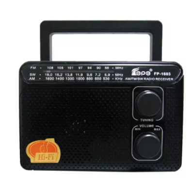 Radio portabil ROTOSONIC FP-1603 cu 3 benzi