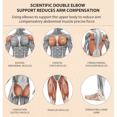 Roata Abdominala revenire automata latime 4 inch Portocaliu