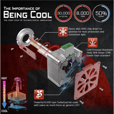 Set 2 becuri auto LED D3S 6500k 110W/set canbus Carcasa ROSIE