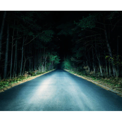 Set 2 becuri Xenon METAL D1S White auto pentru far