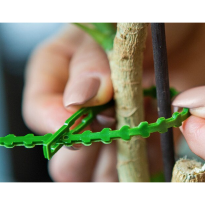 Set 30 coliere verzi din plastic pentru prindere plante gradina