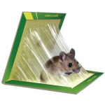 Set 8 Capcana cu lipici pentru soareci si sobolani Lure traps