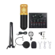 Set Microfon Profesional MIC8