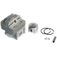 Set motor complet 40mm pentru motocoasa