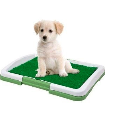 Tavita Toaleta cu iarba artificiala pentru animale Puppy Potty Pad