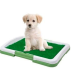Tavita Toaleta cu iarba artificiala pentru animale Puppy Potty Pad