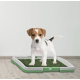 Tavita Toaleta cu iarba artificiala pentru animale Puppy Potty Pad