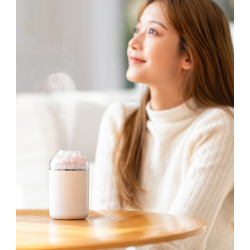 Umidificator si Difuzor de Aromaterapie cu Flori 2 Moduri de Pulverizare Umidificator si Difuzor de Aromaterapie cu Flori 2 Moduri de Pulverizare