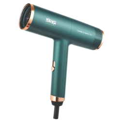 Uscator de par profesional DSP cu 2 trepte viteza si 2 trepte temperatura