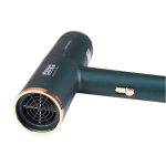 Uscator de par profesional DSP cu 2 trepte viteza si 2 trepte temperatura