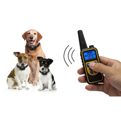 Zgarda Electrica Reincarcabila Pentru Dresaj Caini Autonomie Mare  Rezistenta La Ploaie