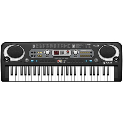 Orga Electronica  54 Clape si Microfon 