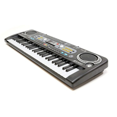 Orga Electronica  54 Clape si Microfon