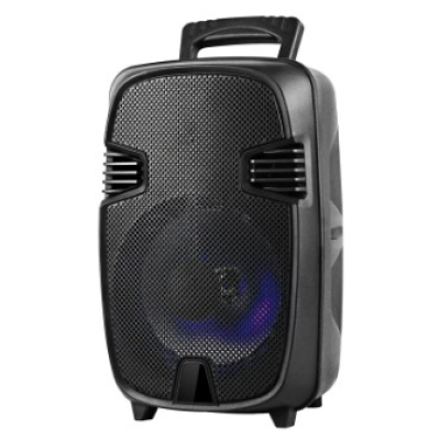 Boxa Bluetooth wireless portabila reincarcabila GTS 1248 de 8 inci cu maner extra bass