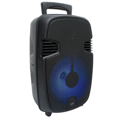 Boxa Bluetooth wireless portabila reincarcabila GTS 1248 de 8 inci cu maner extra bass