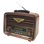 Radio portabil Kalade KK 222BT cu bluetooth si maner transport