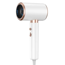 Uscator de par profesional Aorlis AO 49971 putere 2400W