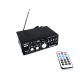 Amplificator Bass Profesional Tip Statie cu Bluetooth Negru Andowl QT110