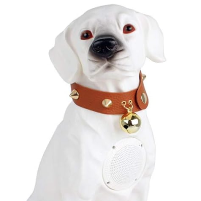 Boxa Portabila Labrador ALB Cu Bluetooth CH M211M Cititor USB Card Radio si microfon