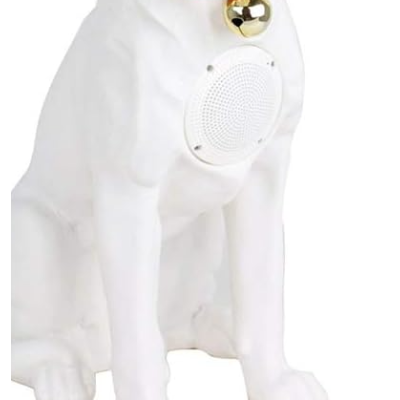 Boxa Portabila Labrador ALB Cu Bluetooth CH M211M Cititor USB Card Radio si microfon