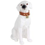 Boxa portabila wireless cu bluetooth si microfon tip labrador CH M211M