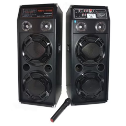 Boxe Profesionale DJ Effect KTA 2304 cu Microfon Wireless Sistem Karaoke