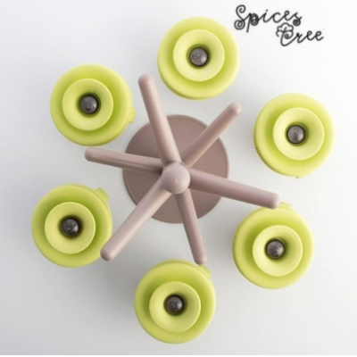 Copacel Spice Rack cu 6 recipiente pentru condimente + suport inclus