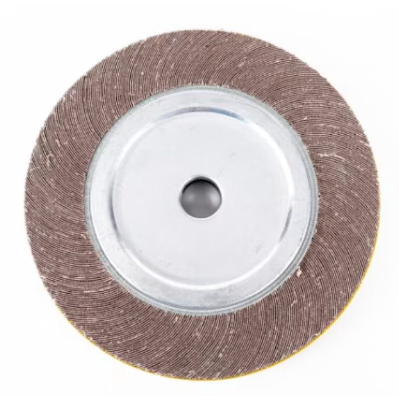 Disc perie lamelar smirghel 300 mm polizor suport metalic