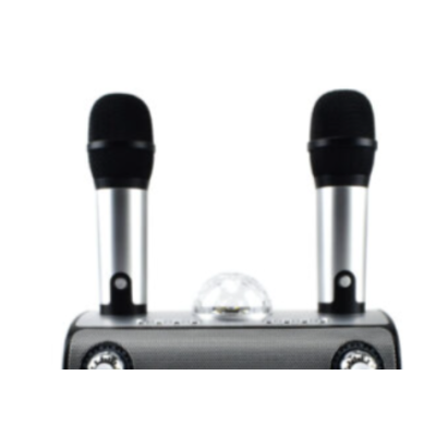 Dispozitiv Karaoke Disco Q YX899 putere 15W cu 2 microfoane wireles