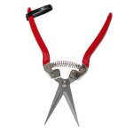 Foarfeca de cules legume/fructe dreapta