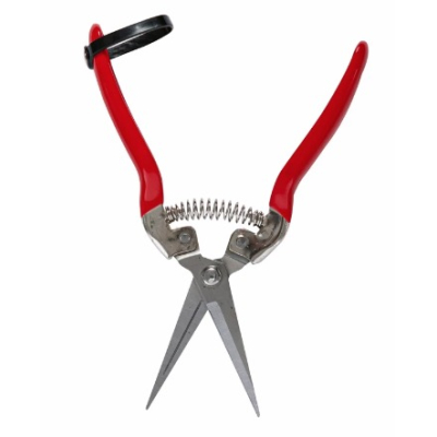 Foarfeca de cules legume/fructe dreapta