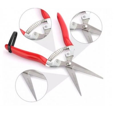 Foarfeca de cules legume/fructe dreapta