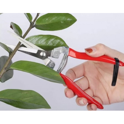 Foarfeca de cules legume/fructe dreapta