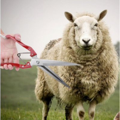 Foarfeca multifunctionala trandafiri animale caini oi