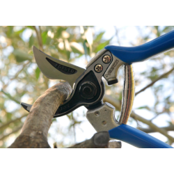 Foarfeca profesionala pentru pomi vie de tip A