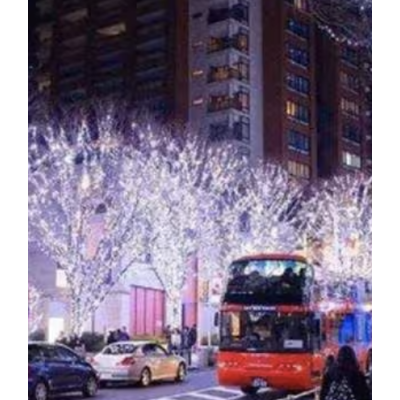 Instalatie Solara 10 Metri cu 100 LED liniara ALB RECE HS