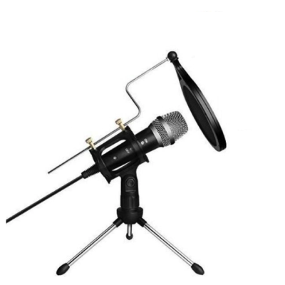 Microfon Profesional de inregistrare vocala si Karaoke pentru Studio WG 500II