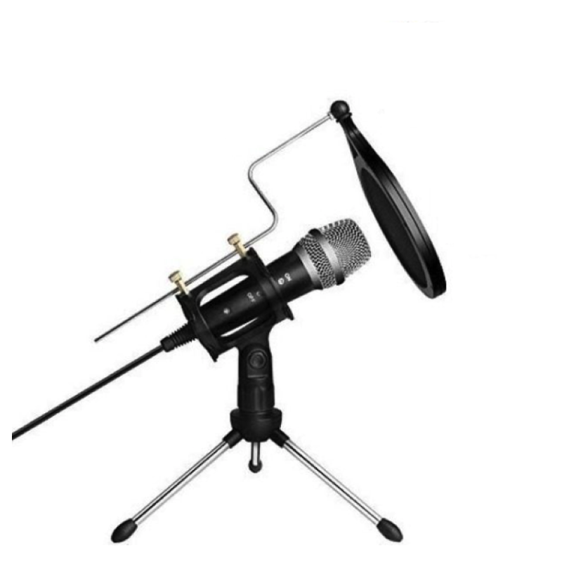 Microfon Profesional de inregistrare vocala si Karaoke pentru Studio WG 500II