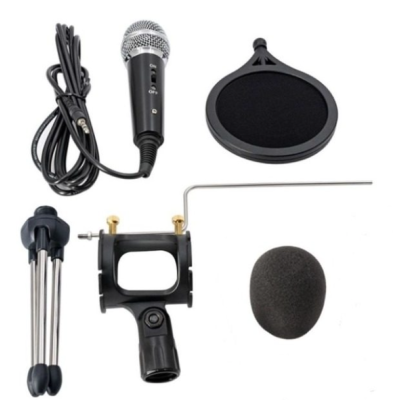 Microfon Profesional de inregistrare vocala si Karaoke pentru Studio WG 500II