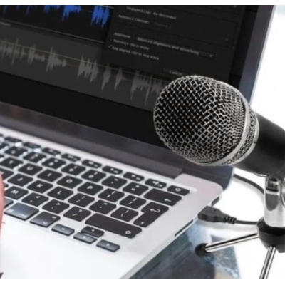 Microfon Profesional de inregistrare vocala si Karaoke pentru Studio WG 500II