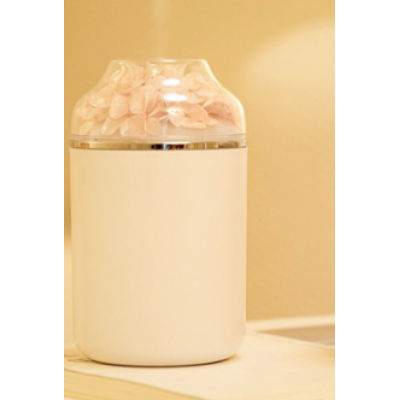 Mini umidificator portabil RDE283 alb/roz