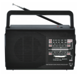 Radio portabil FP-1371