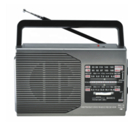 Radio portabil FP-1371