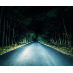 Set 2 becuri Xenon METAL D1S White auto pentru far