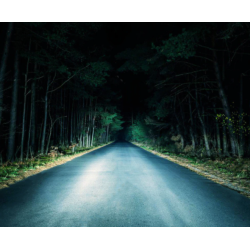 Set 2 becuri Xenon METAL D1S White auto pentru far