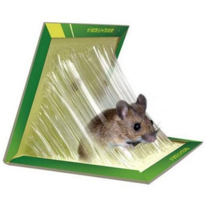 Set 8 Capcana cu lipici pentru soareci si sobolani Lure traps