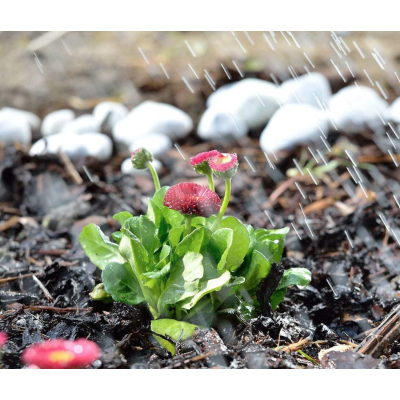 Stropitoare pentru gazon cu 12 duze flexibile Verde/Negru